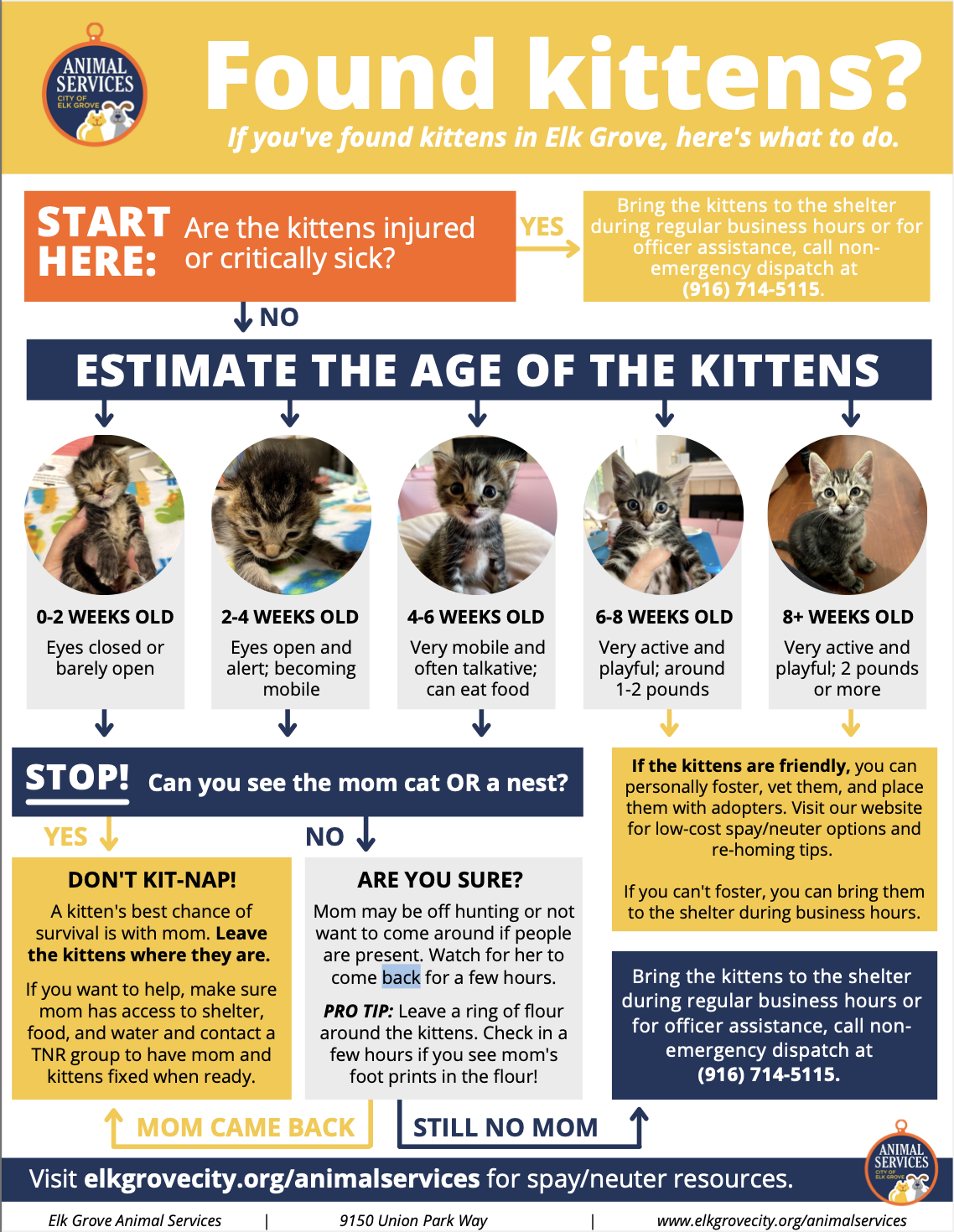 a small preview image of the PDF