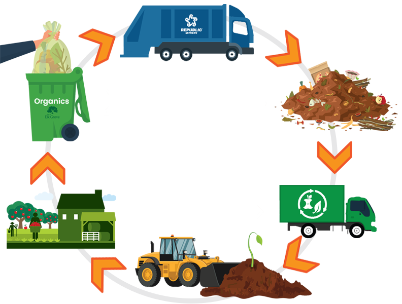 compost lifecycle
