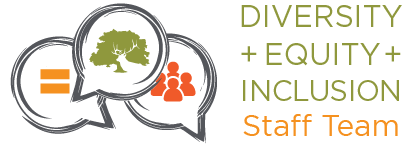 Diversity Equity and Inclusion Team