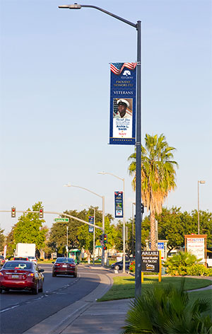 Sample Banner
