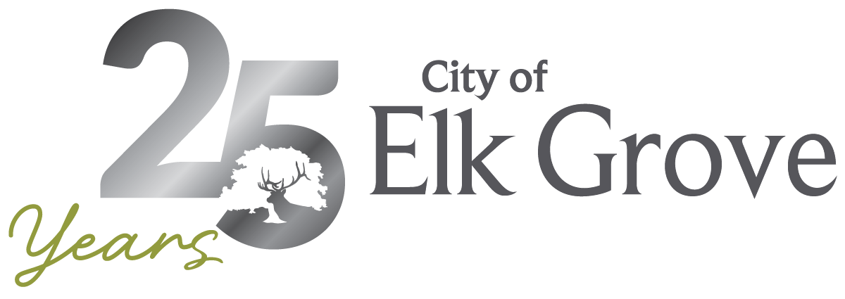 25th anniversary silver logo