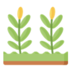 resilient agriculture